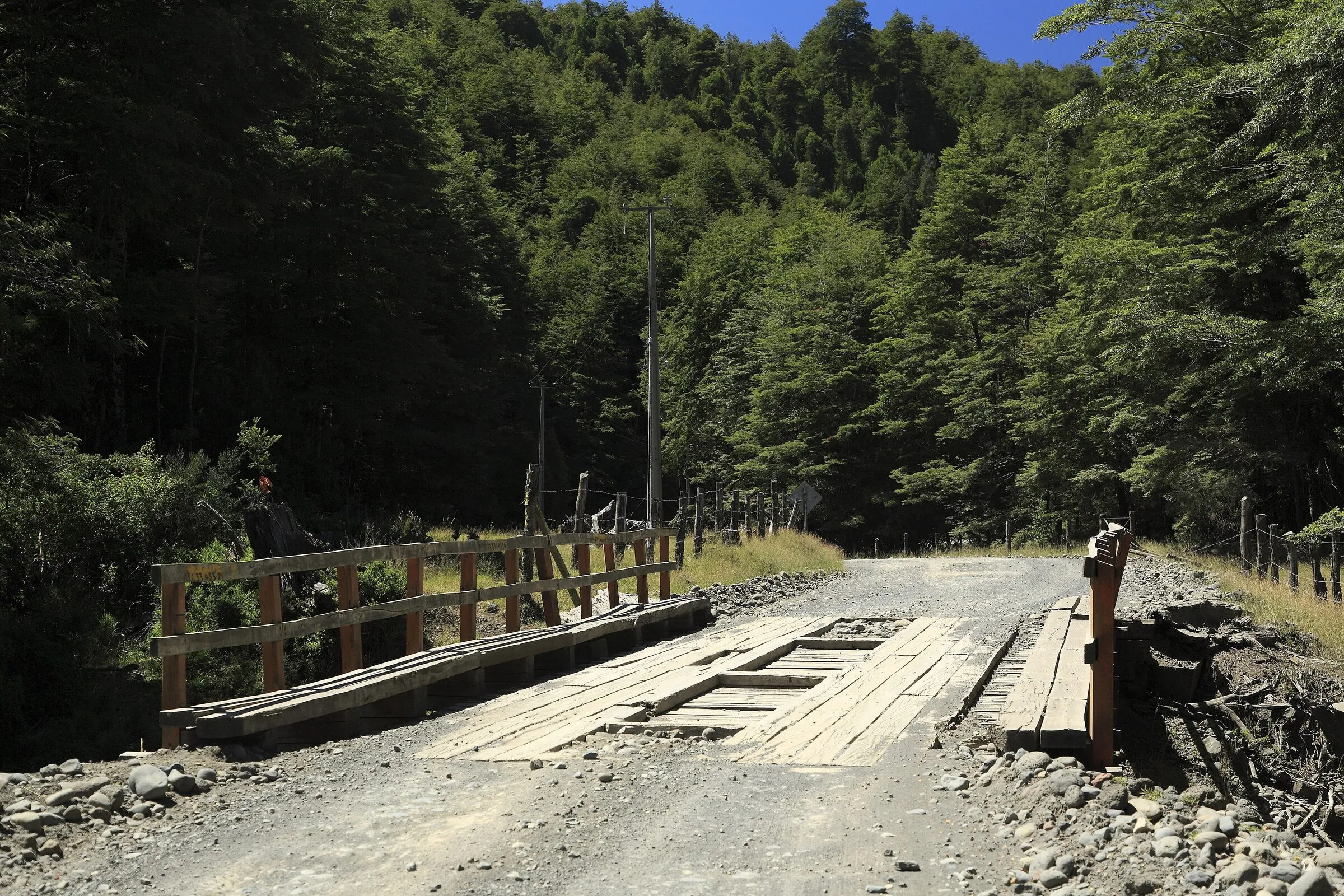 Camino de Palguín a Coñaripe.